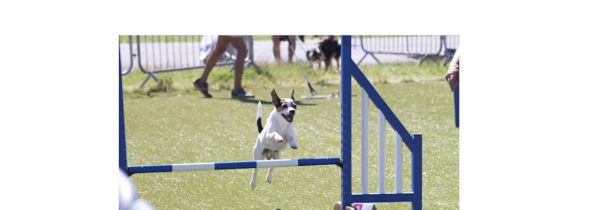 Innetrening på Klypen for klubbens satsende ekvipasjer som konkurrerer.